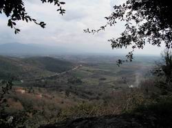 Arezzo